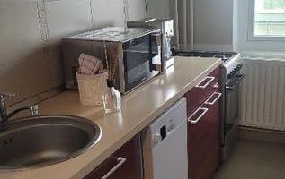2 camere  Torontalului-Circumvalatiunii - Poză 5