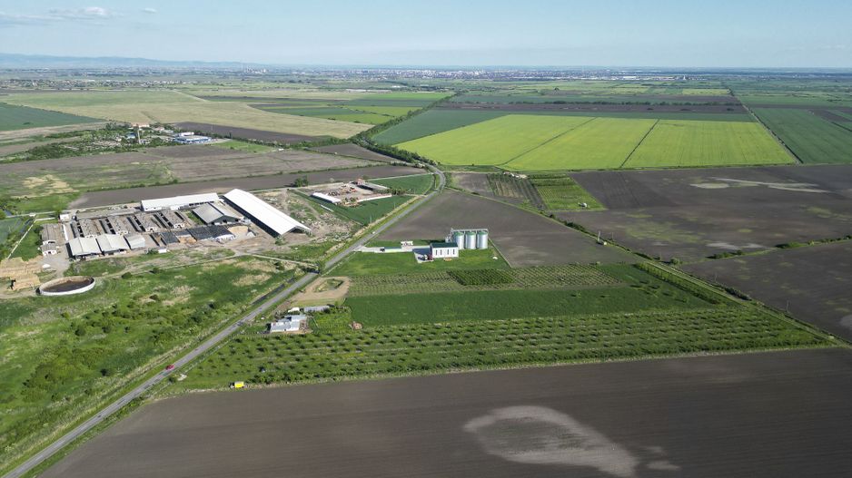 Livadă de nuci și pruni 2.4ha în Variașul Mare - Poză 4