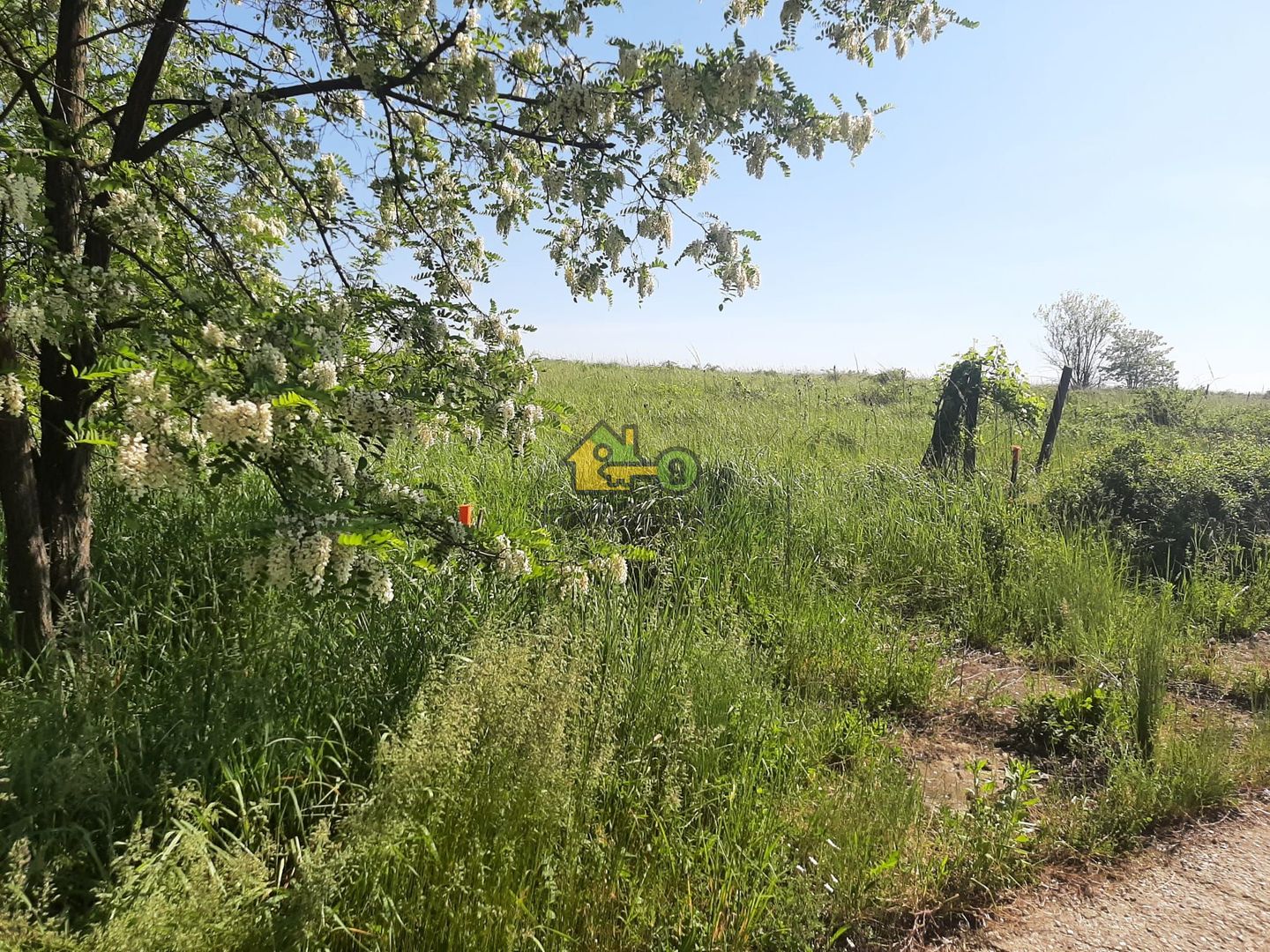 Teren Extravilan, Dealu Viilor, Lugoj - Poză 6