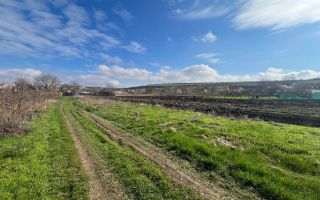 Teren de construcții 9 Ari în Nimoreni, Ialoveni - Poză 8