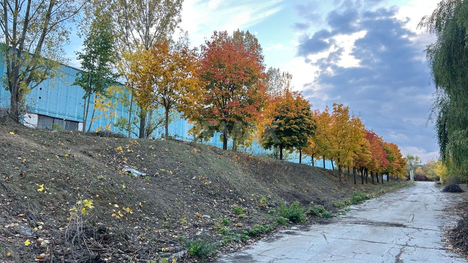 Chirie Spatii industriale 1500-80000 m² - Poză 13
