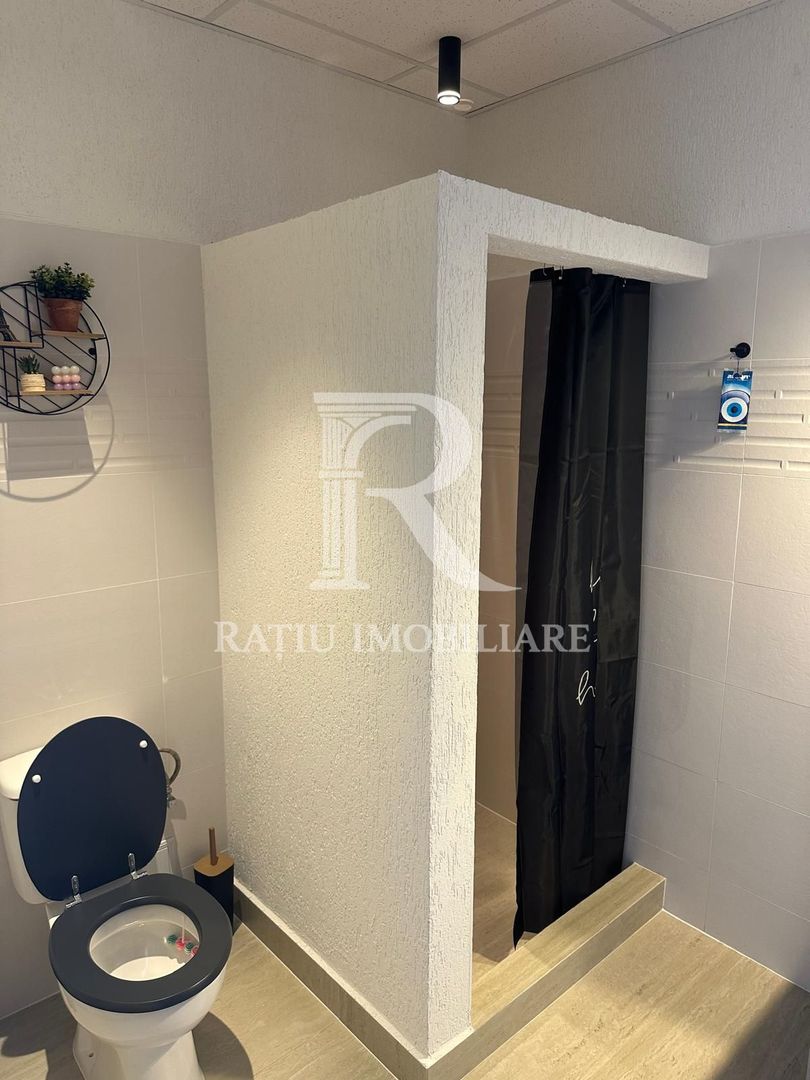Spatiu de inchiriat | Calea Borsului | Santion - Poză 4