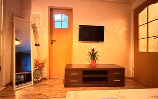 2 Camere Ultracentral | Zona Ferdinand | Modern | Curte comună - Poză 13