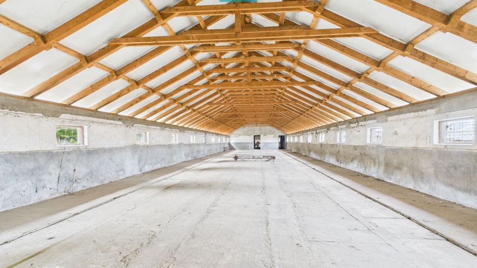 Hală pentru producție / fermă zootehnică  - Variaș - Poză 8