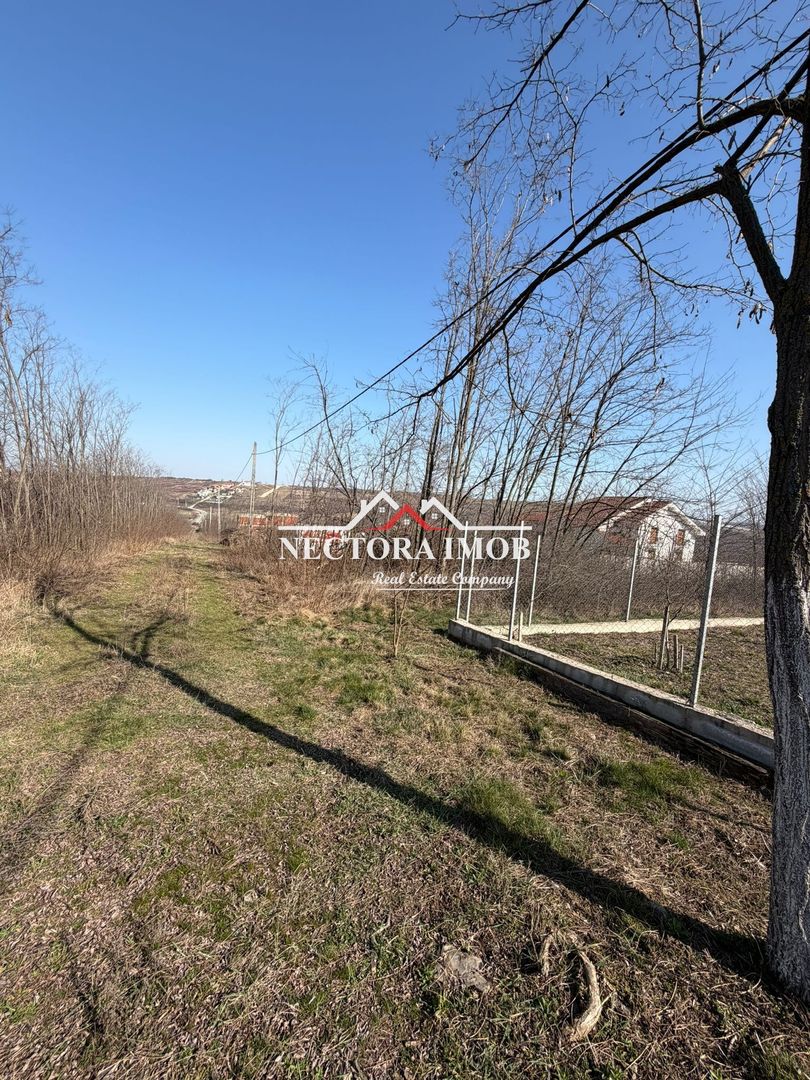 NECTORA IMOB-Teren Intravilan Lac Paleu, 886 mp, Front 27 ml,Utilitati - Poză 3