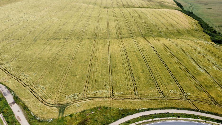 Teren la sosea Ortisoara - Autostrada A1 - Poză 21