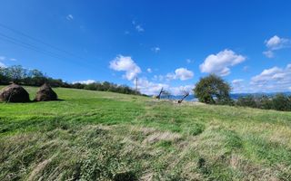 De vanzare 2965 mp teren intravilan, toate utilitatile, Oarda de Sus - Poză 9