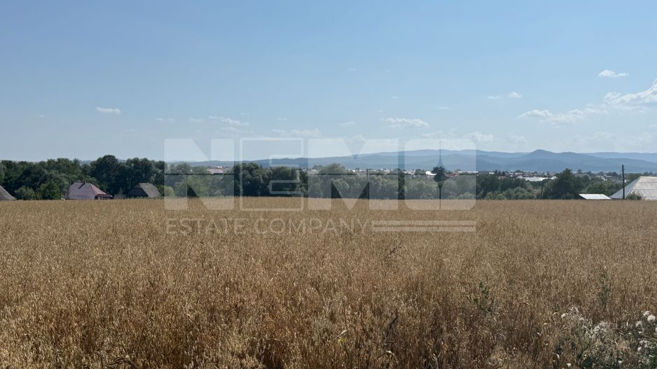 Teren intravilan de vânzare | Horodnic de Sus | 77 ari - Poză 4