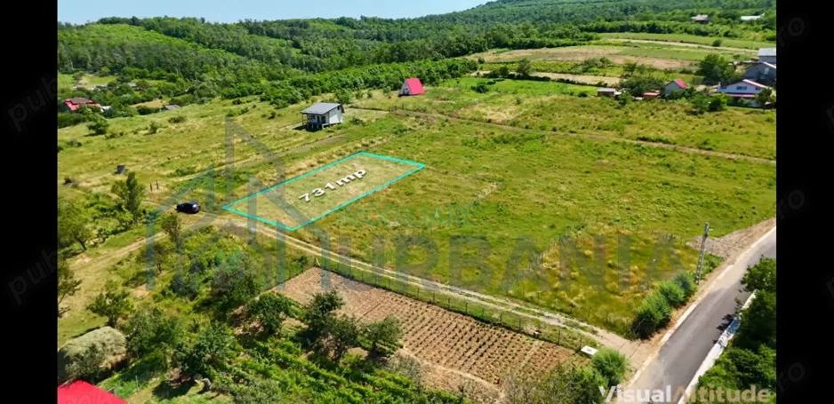 Teren Goruni Tomesti - Poză 2