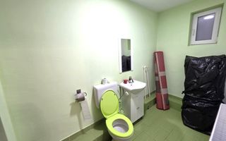 Casa 4 camere + anexe, 636 mp teren, la asfalt, Vințu de Jos - Poză 9