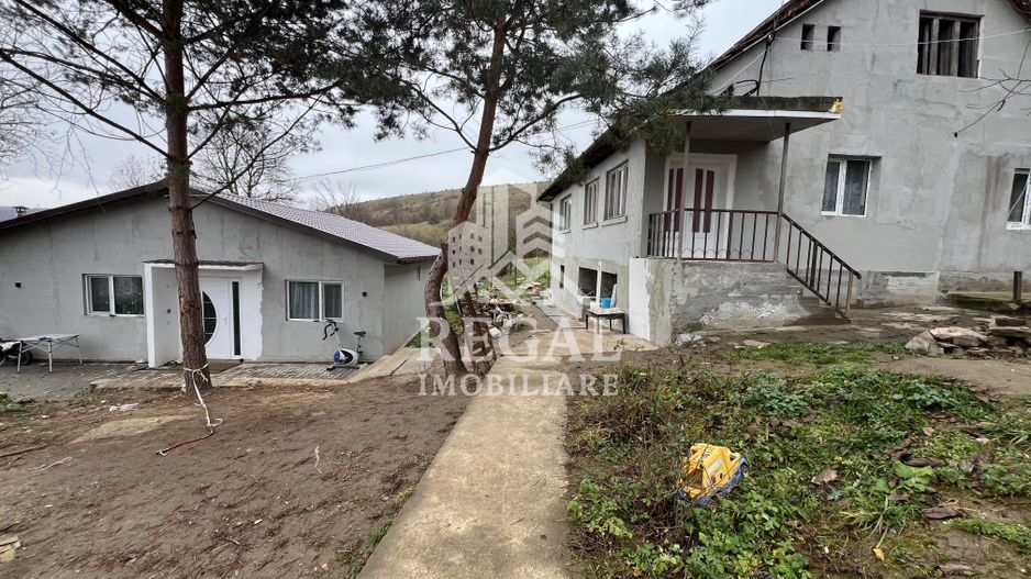 Două case individuale de vânzare în Teliuc –ideale pentru două familii - Poză 1