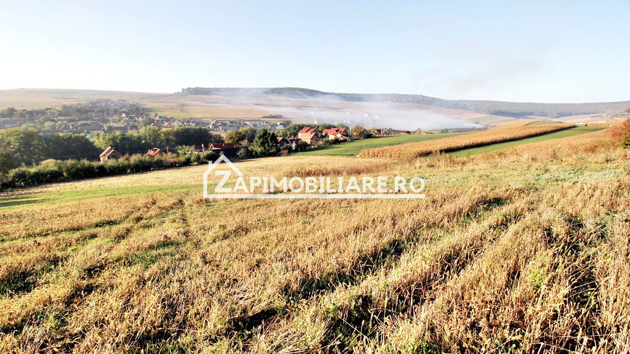 Teren 25.000 mp.  Comuna Voiniceni ,12 euro mp.comision ZERO - Poză 3