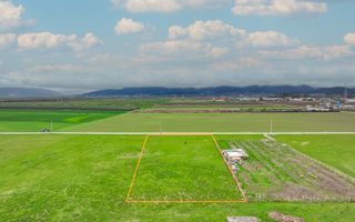 COMISION 0% | Teren intravilan hale producție/depozitare | Brașov - Poză 3