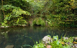 Domeniu în satul Căprioara - Poză 15