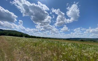 Teren de vanzare in Coas, zona linistita - Poză 2