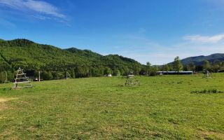 TEREN | 4.000 mp (2 loturi) | Valea Doftanei | ATRA DOFTANA - Poză 3