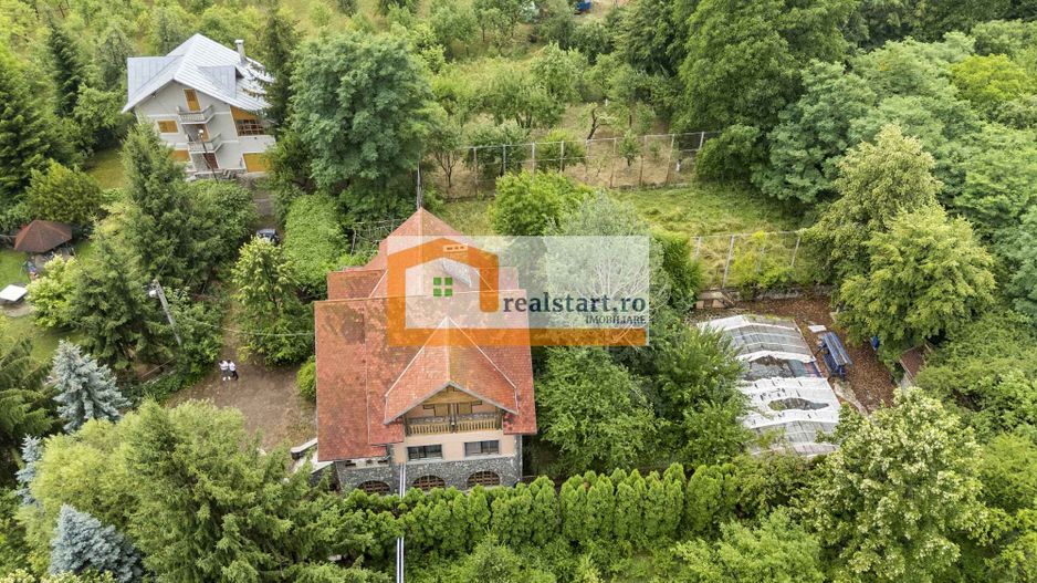 Pet Friendly, Vedere Padure, 5000mp teren, D+P+1E+M, semineu, foisor - Poză 12