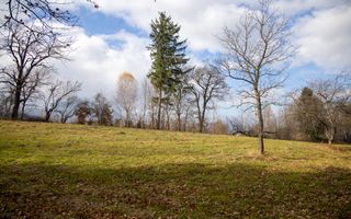 Teren intravilan, cu PUZ, Bran Tohanita,  SE ACCEPTĂ ȘI SCHIMB - Poză 19