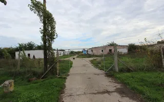Vanzare hale Mosnita Noua-fosta Ferma 7 - Poză 22