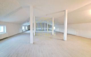 Spatiu Comercial tip Hala I Giroc - Poză 11