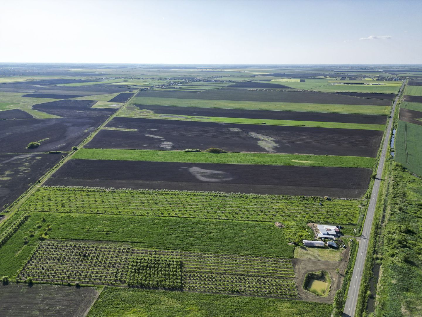 Livadă de nuci și pruni 2.4ha în Variașu Mare - Poză 10