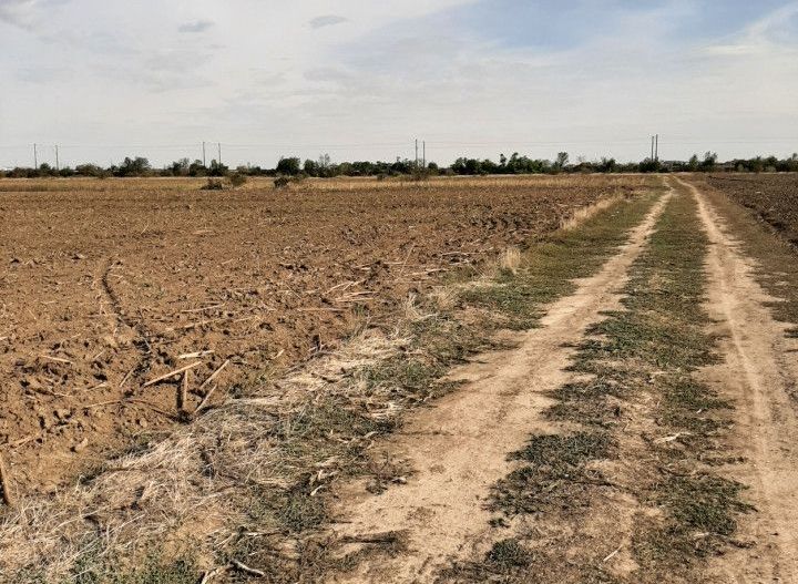 Teren, zona industriala, in Domnesti. Tarlaua 7, depozitele Logistics Park, A1 - Poză 13