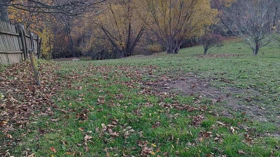 Teren intravilan | Mănăstioara – Siret | 2.200 mp - Poză 7