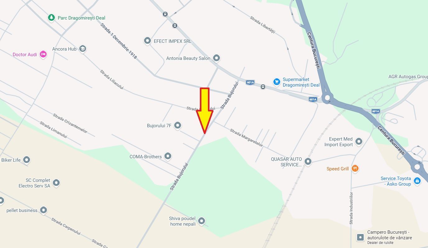 Teren de vanzare Dragomoresti Deal, Str. Bujorului, 2500 mp, utilitati - Poză 2