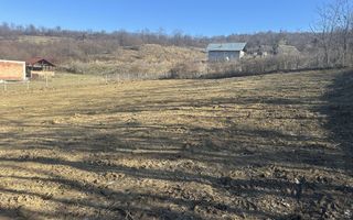 Teren intravilan, sat Vladiceni 1135 mp - Poză 4