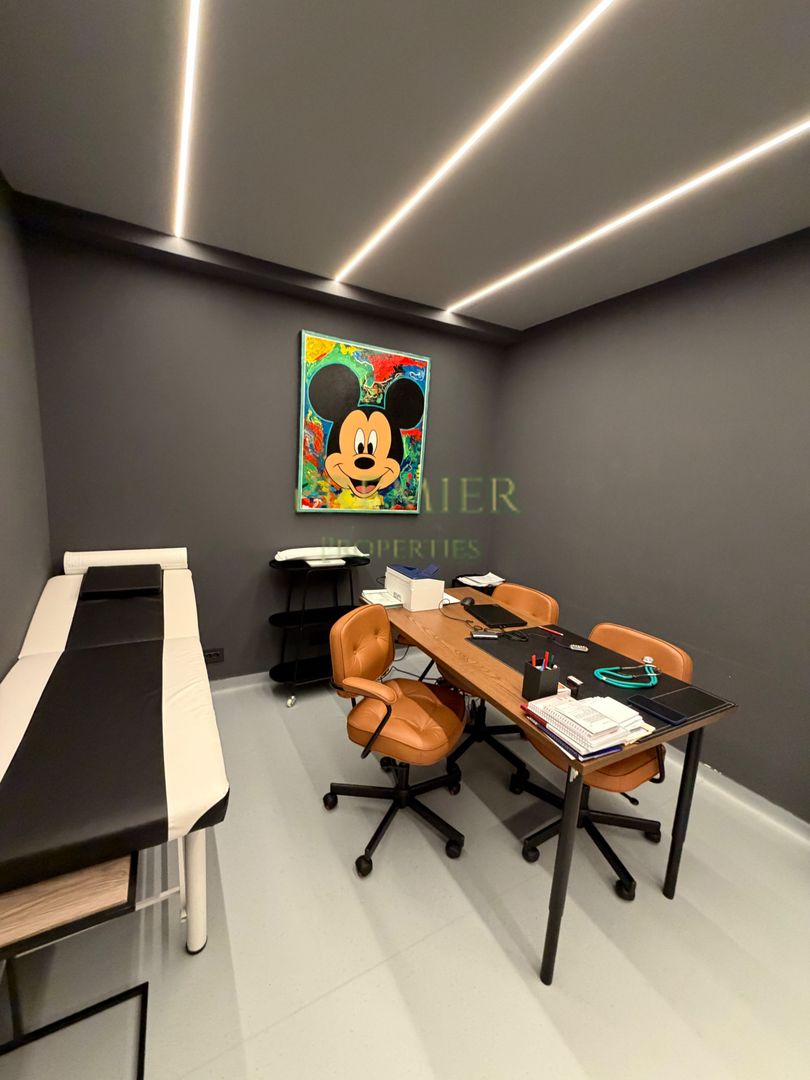 Vila Kiselef clinica medicala 8960 investitie - Poză 7