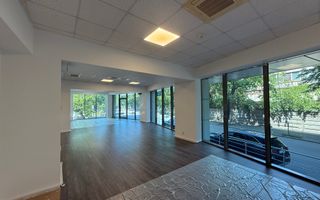Spațiu comercial premium / Băneasa Offices / Parc Herăstrău - Poză 2