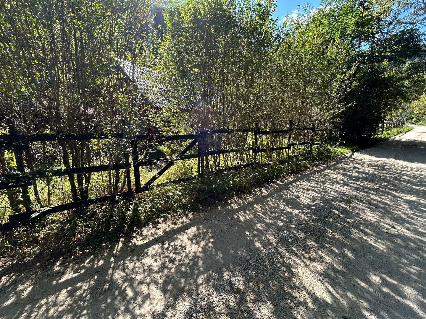 Cabana de vanzare, Valea Manastirii - Ramet - Poză 2