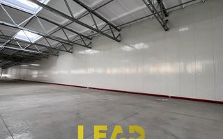 De inchiriat! Hale si birouri in Platforma Roman Brasov - Poză 1