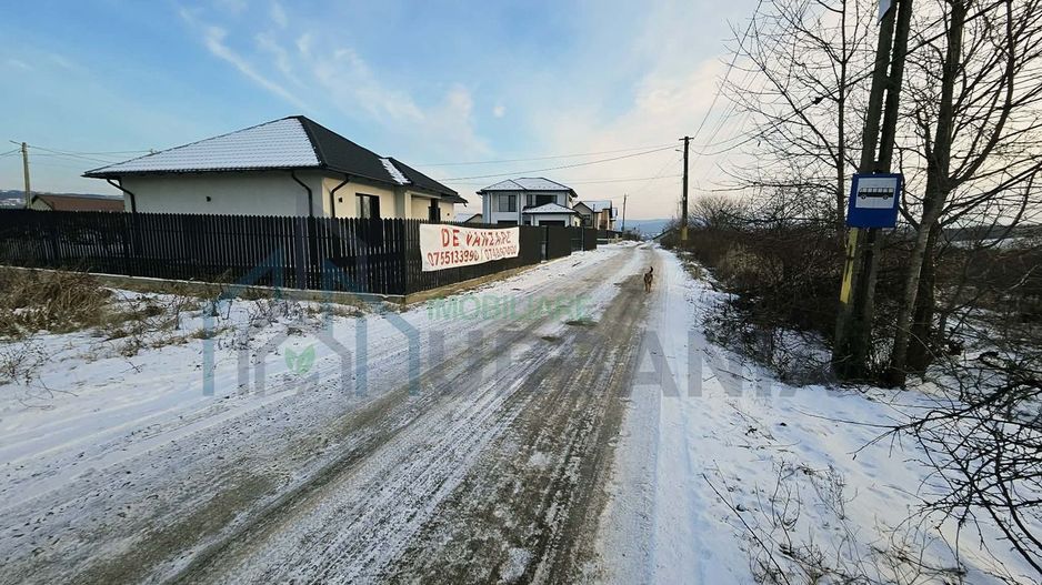 #, Vand casa in Visani - Poză 4