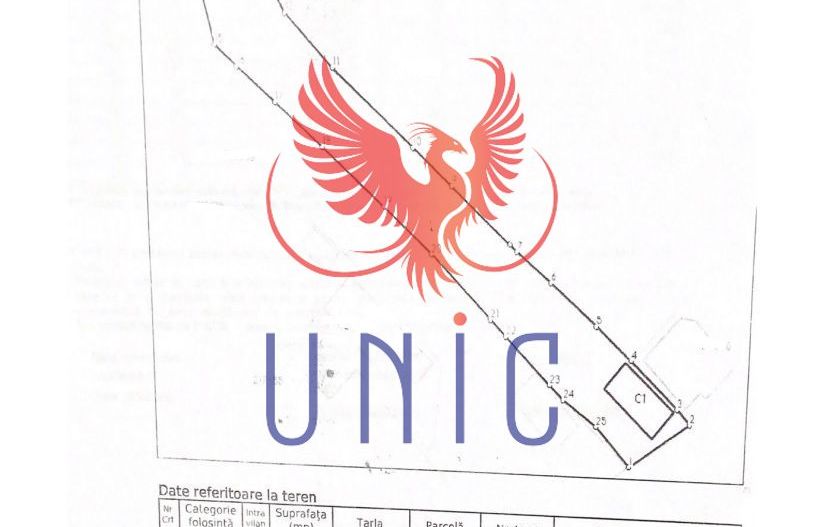 Teren Drumul Muntenilor, 980 mp, 2 deschideri - Poză 3