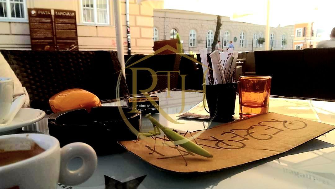 Se vinde afacere la cheie, Zona Centrala, Piata Unirii langa Tribunal - Poză 1