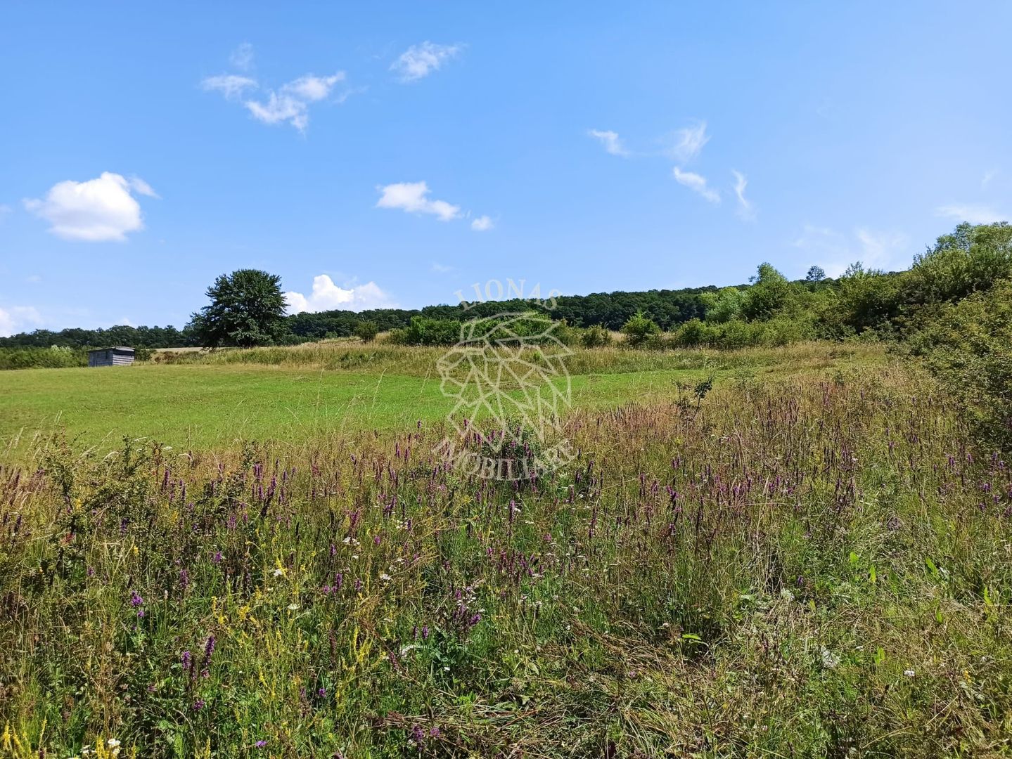 Parcele teren 4038 mp - Parcelabil - Zona Valea Stanelor - Poză 6
