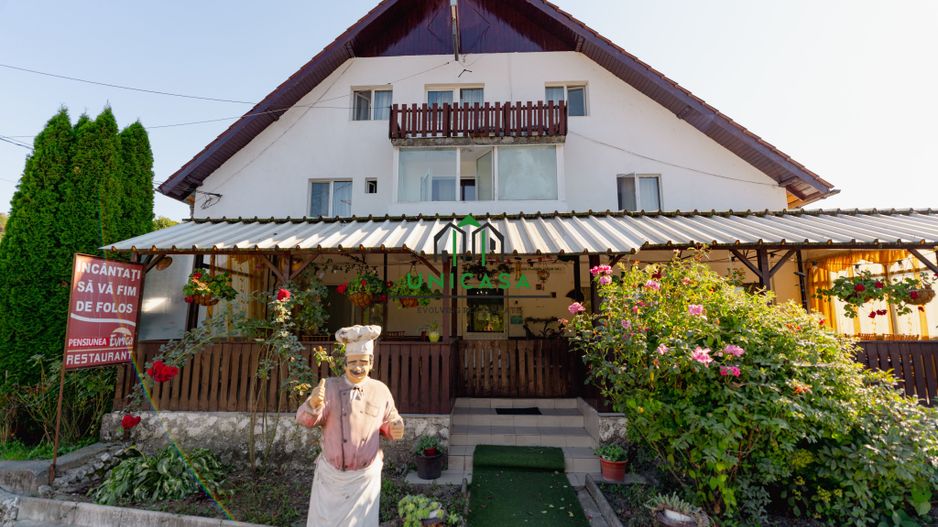 PENSIUNEA EVRICA - COSTESTI - HOREZU - VALCEA - Poză 7