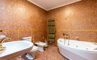 Casa/Vila Premium de vanzare Lacul Snagov / ponton / piscina / barca - Poză 32