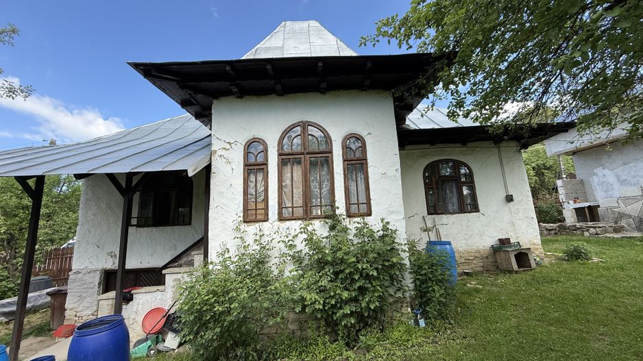 2 Case + teren 1390 mp langa parcul central Provita de Sus - Poză 2