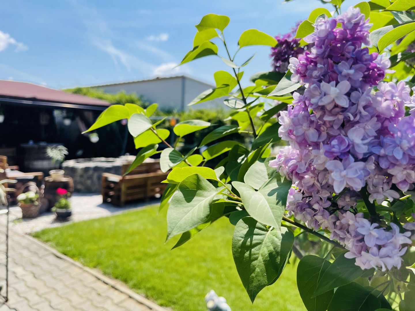 OFERTA VANDUTA - Casa Sacalaz - curte superba | 180 mp, 5 camere - Poză 10