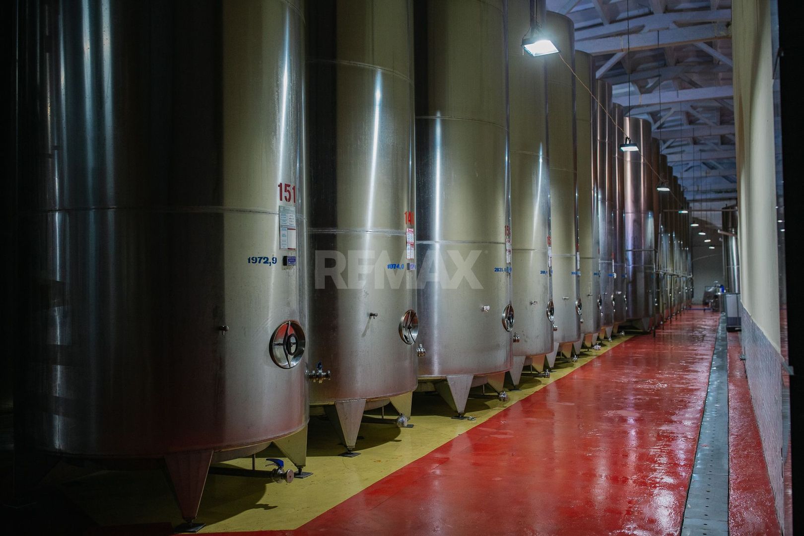 Complex Vitivinicol de Referință în Sudul Moldovei | 206 ha teren agricol | Investiție strategică - Poză 13