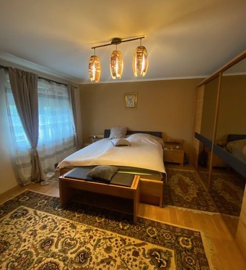 Duplex cu piscina Dumbravita Zona PADURE - Poză 20