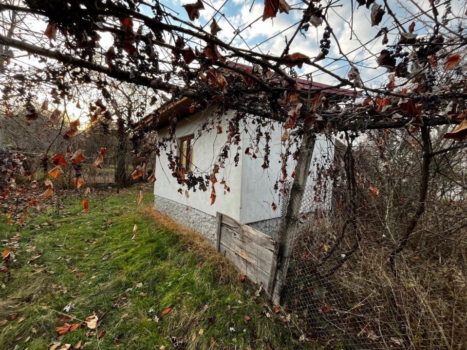 Casă + teren generos de vânzare în Strâmba Jiu - Poză 7