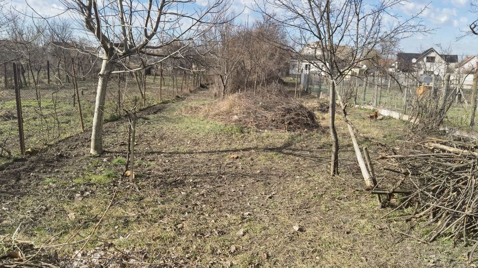 Casa cu teren generos- Recas - Poză 9