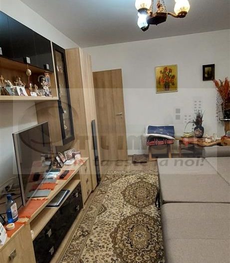 APARTAMENT 1 CAMERA  DECOMANDAT  POPAS PACURARI 300 euro - Poză 12