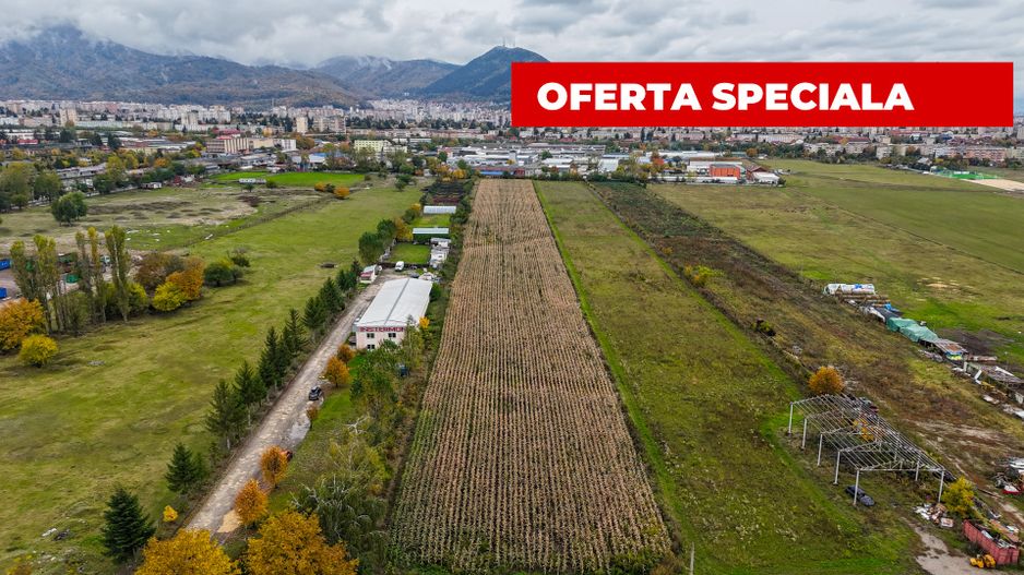 Teren industrial- Timișul Sec oportunitate investițională - Poză 2