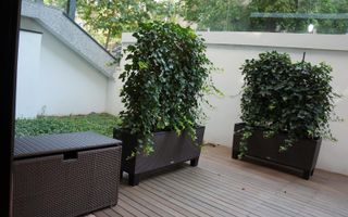 Apartament unic Primăverii - Piața Charles De Gaulle - Poză 12