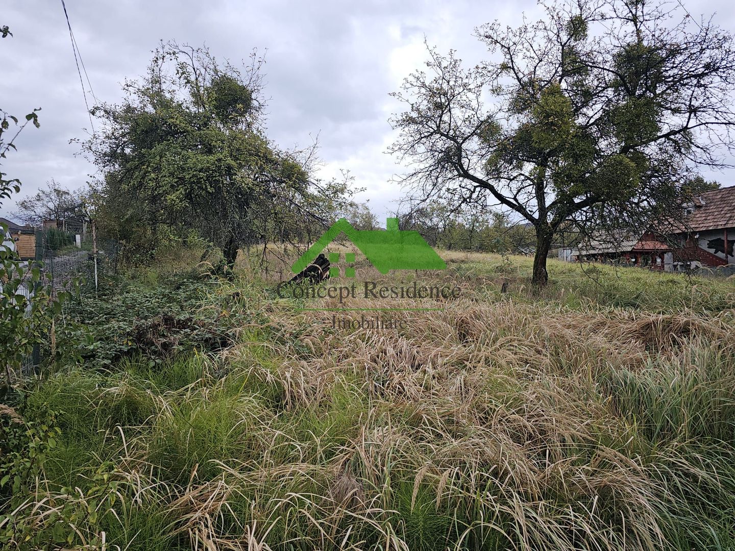 Vânzare teren intravilan 2800 mp – Baia Sprie, cartier de case - Poză 4