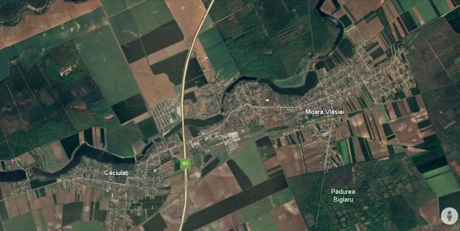MOARA VLASIEI, 5.000 mp. teren in Tarla 146, Parcela 609 - Poză 1